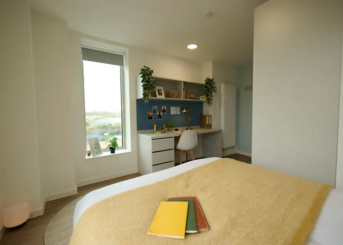 For Students Only Brigg Point In Bristol