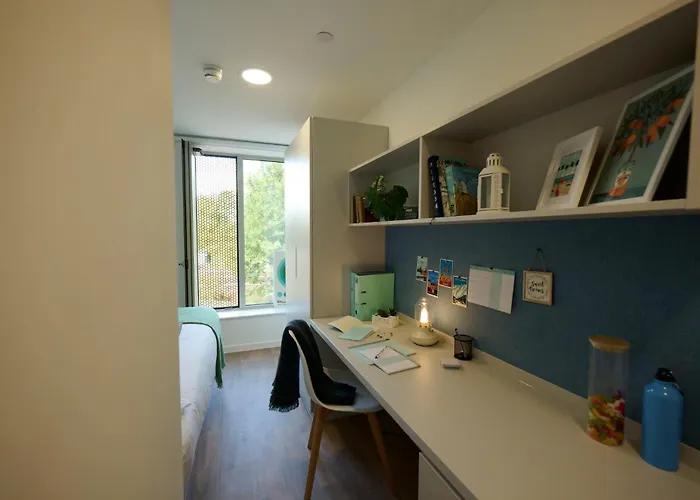 For Students Only Brigg Point In